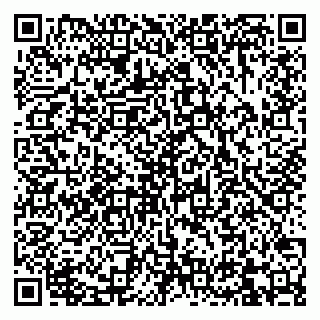 vCard 79832000249