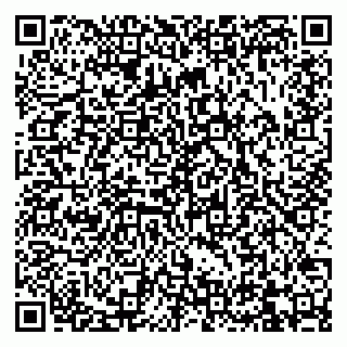 vCard 79832000287