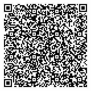 vCard 79832000294