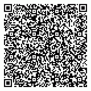 vCard 79832000295