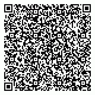 vCard 79832000331