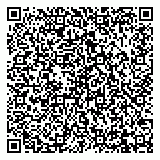 vCard 79832000383