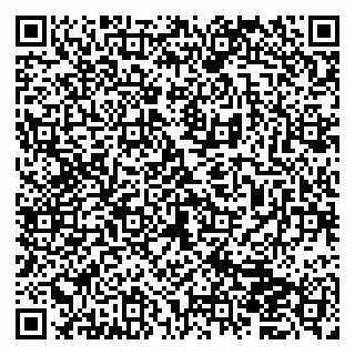 vCard 79832358135