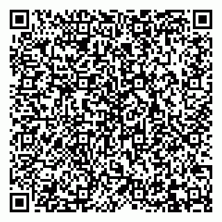 vCard 79832658513