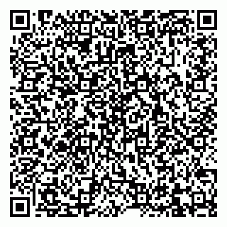 vCard 79832658735