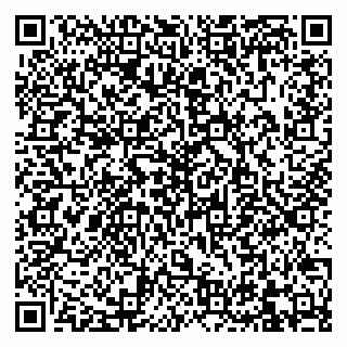 vCard 79832659411