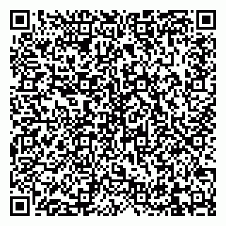 vCard 79832660713