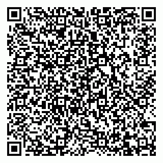 vCard 79832660864