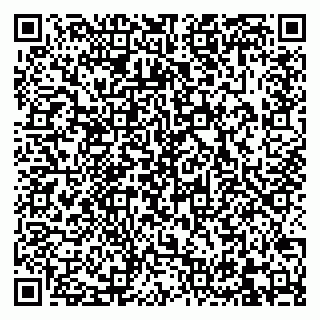 vCard 79832660905