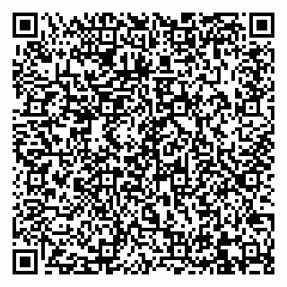 vCard 79832661003