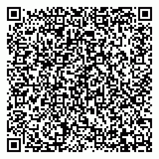 vCard 79832661133