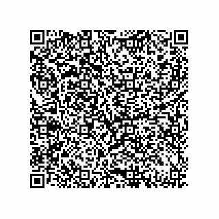 vCard 79833001299