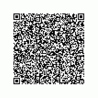vCard 79833002001