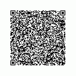 vCard 79833002002