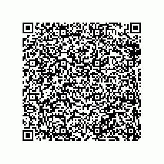 vCard 79833002005