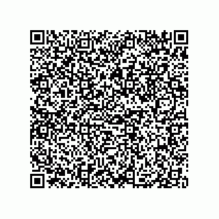 vCard 79833002008