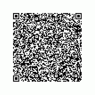 vCard 79833002009