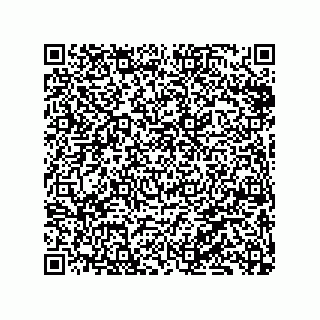 vCard 79833002013