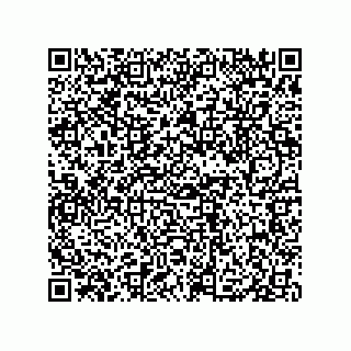 vCard 79833002027