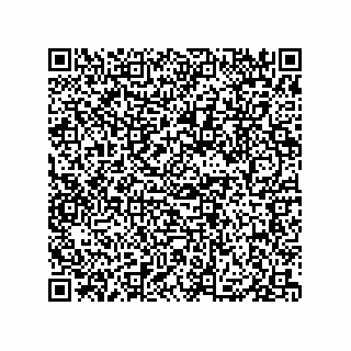 vCard 79833002031