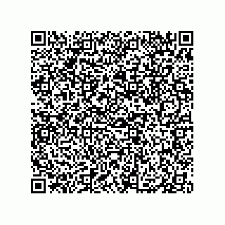 vCard 79833002038