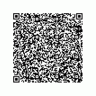 vCard 79833002039
