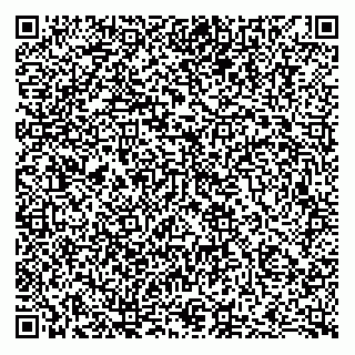 vCard 79833002040