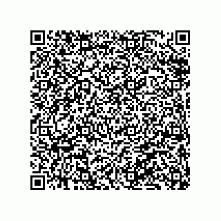 vCard 79833002041
