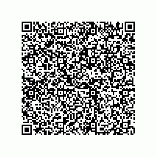 vCard 79833002063