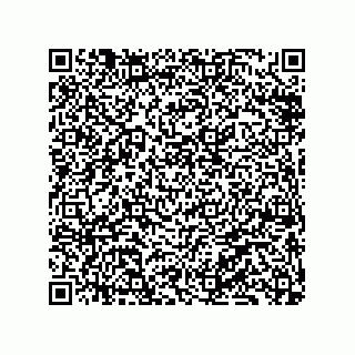 vCard 79833002073