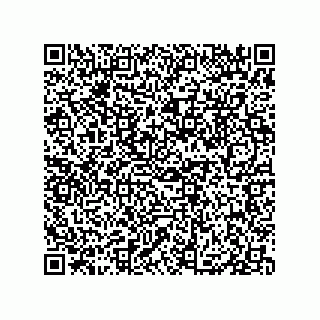 vCard 79833002080