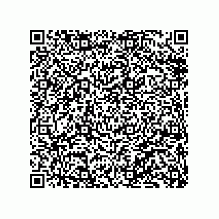 vCard 79833002085
