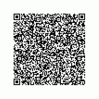 vCard 79833002101