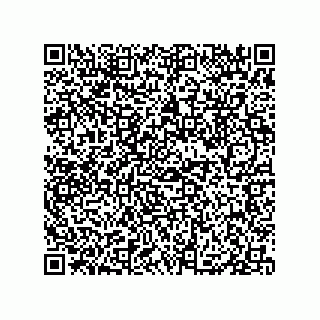 vCard 79833002205