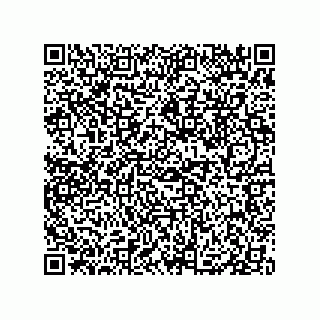 vCard 79833002208
