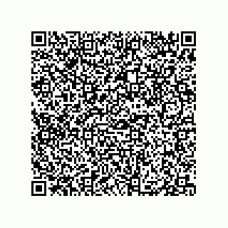 vCard 79833002381