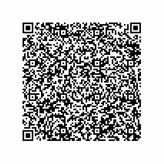 vCard 79833002382
