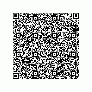 vCard 79833003203