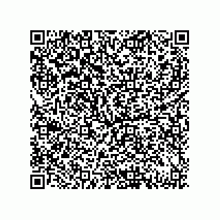 vCard 79833003206