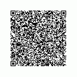 vCard 79833003210