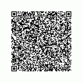 vCard 79833003213