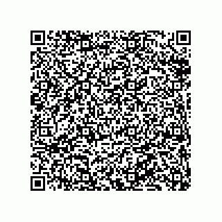 vCard 79833003301