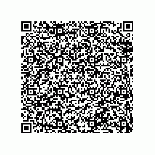 vCard 79833003304