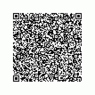 vCard 79833003305