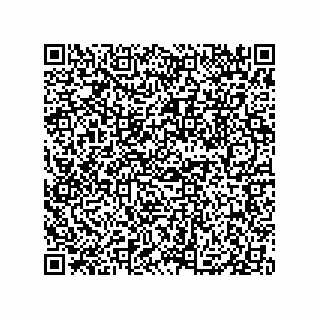 vCard 79833003318