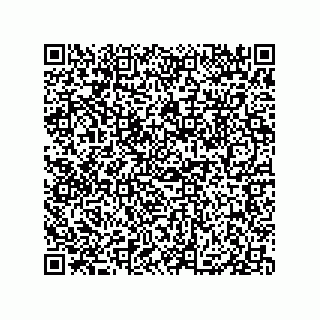 vCard 79833003340