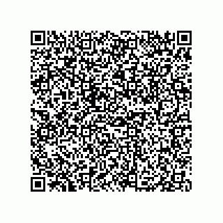 vCard 79833003387