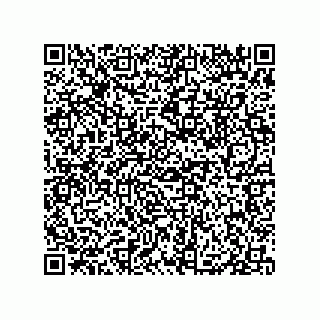 vCard 79833003485