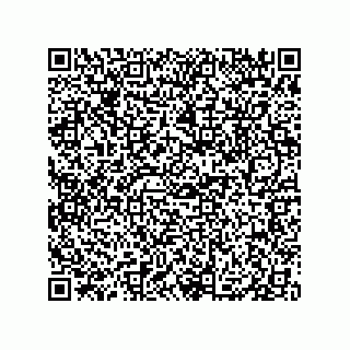 vCard 79833003508