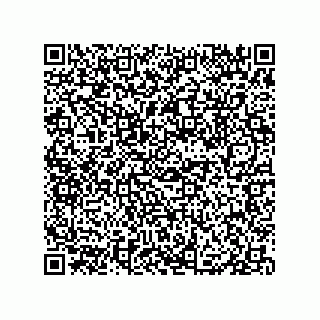 vCard 79833003603